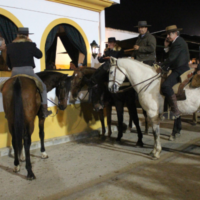 Golega horse bar at night