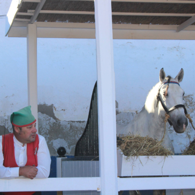 Golega Lusitanos Breeders Caseta