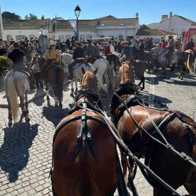 Golega Carriage Telmo Alves