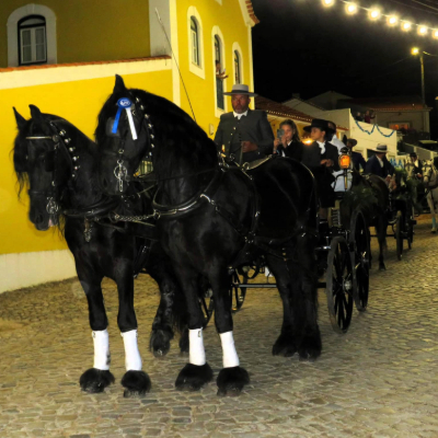 Golega Carriage Telmo Alves